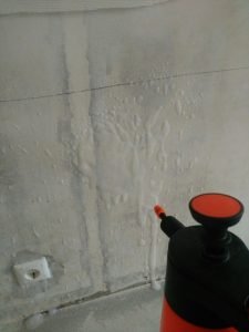 Плесень и грибок на стене в квартире что делать и как вывести