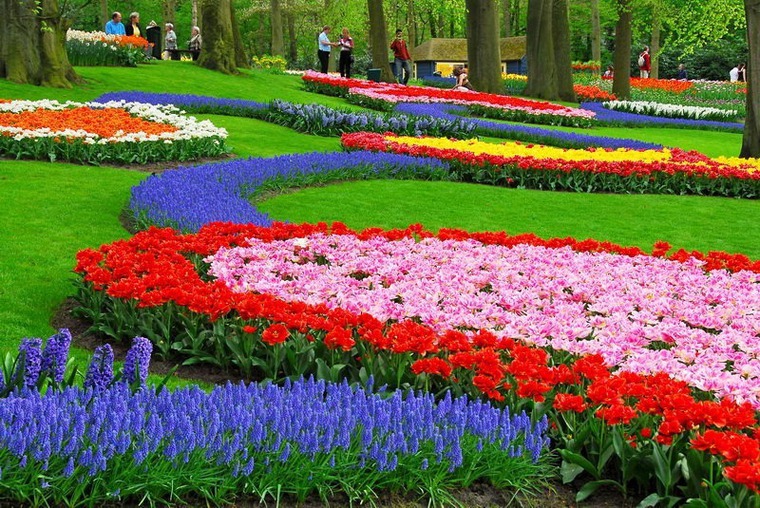 Голландия — страна цветов и цветоводов, фото № 2