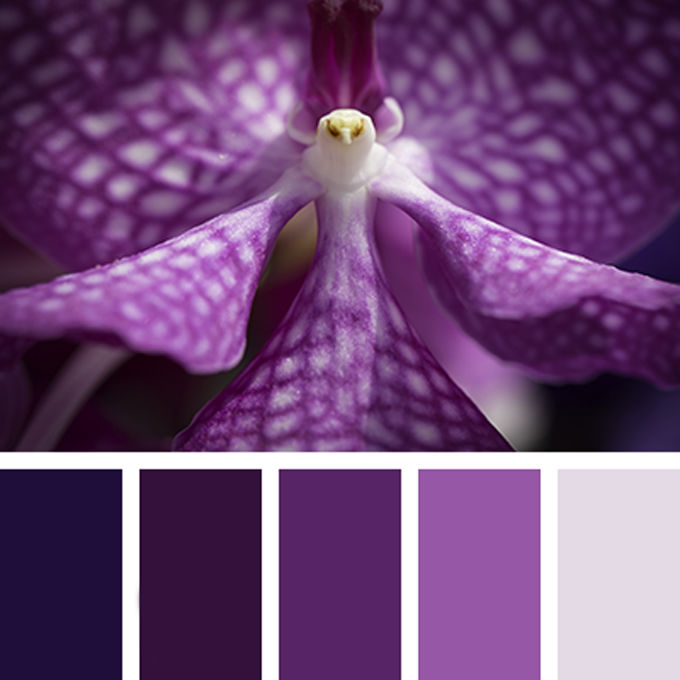 Вдохновение цветом: глубокий темно-фиолетовый, фото № 6