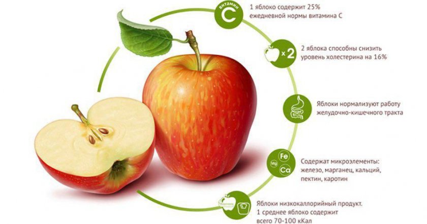Польза яблок