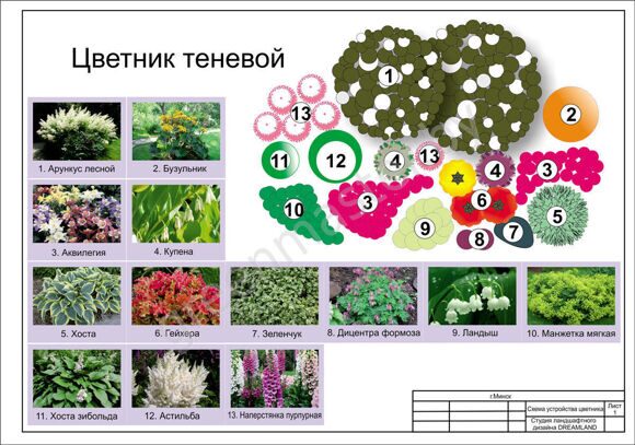 8-Цветник-теневой