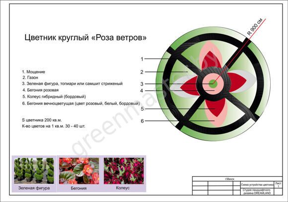 Цветник-Роза-ветров