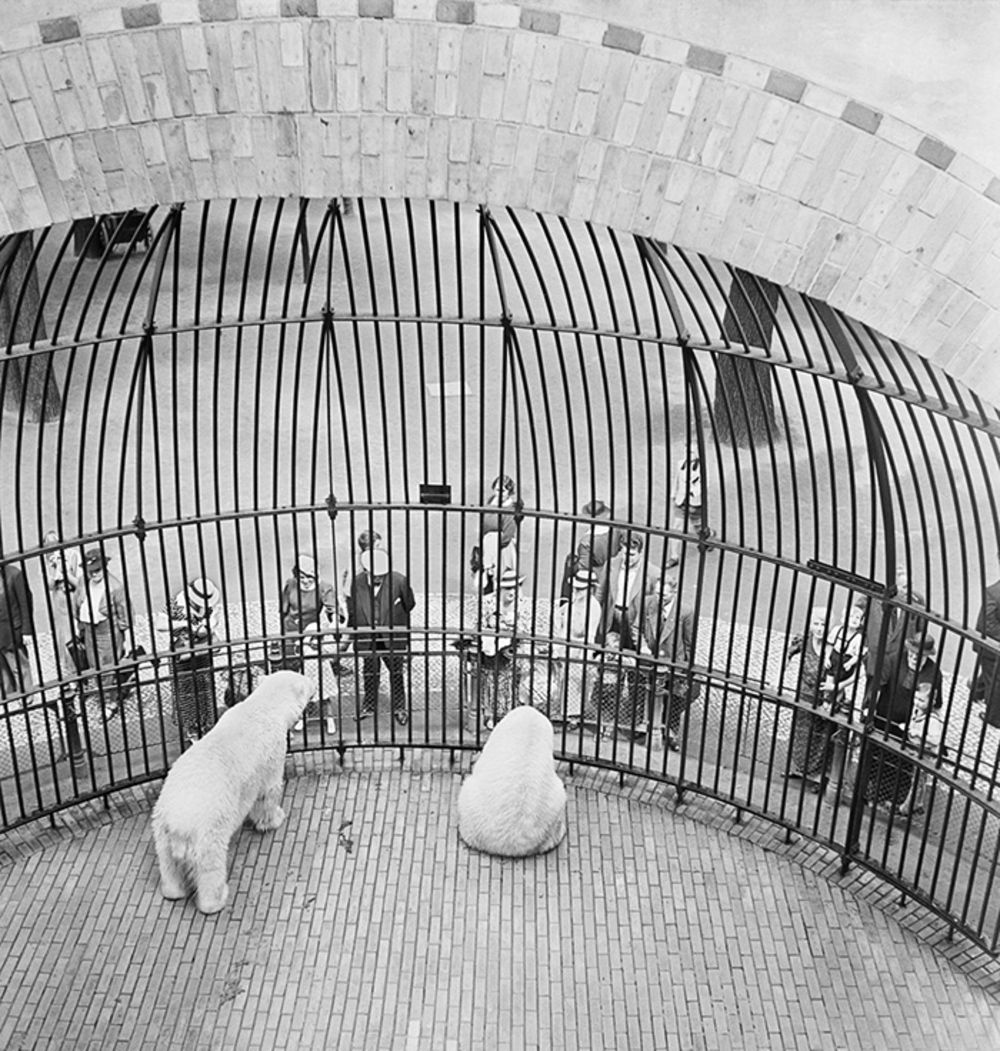 1930-е. Люди за решеткой, Берлинский зоопарк