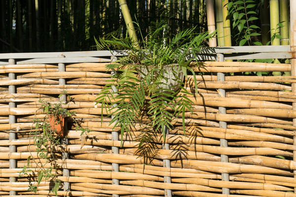 Традиционная бамбуковая изгородь