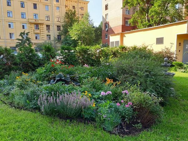 Московский двор-сад. Фото Евгении Фирсовой