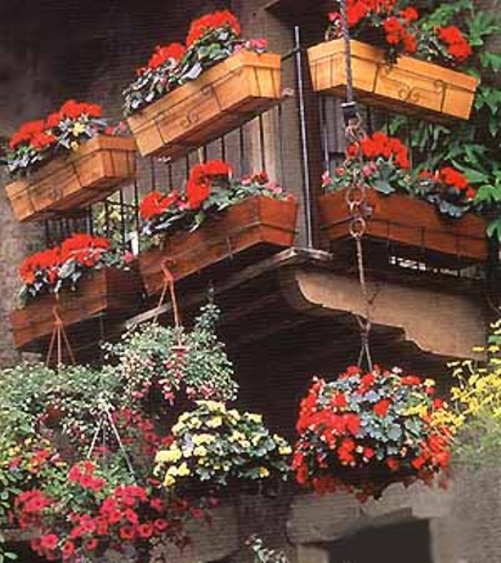 Современные цветы в оформлении балкона