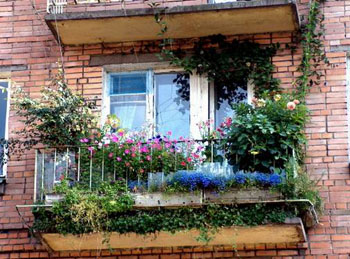 Замечательные цветы в оформлении балкона