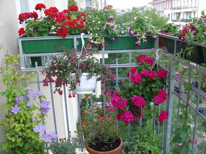 Умопомрачительные цветы в оформлении балкона