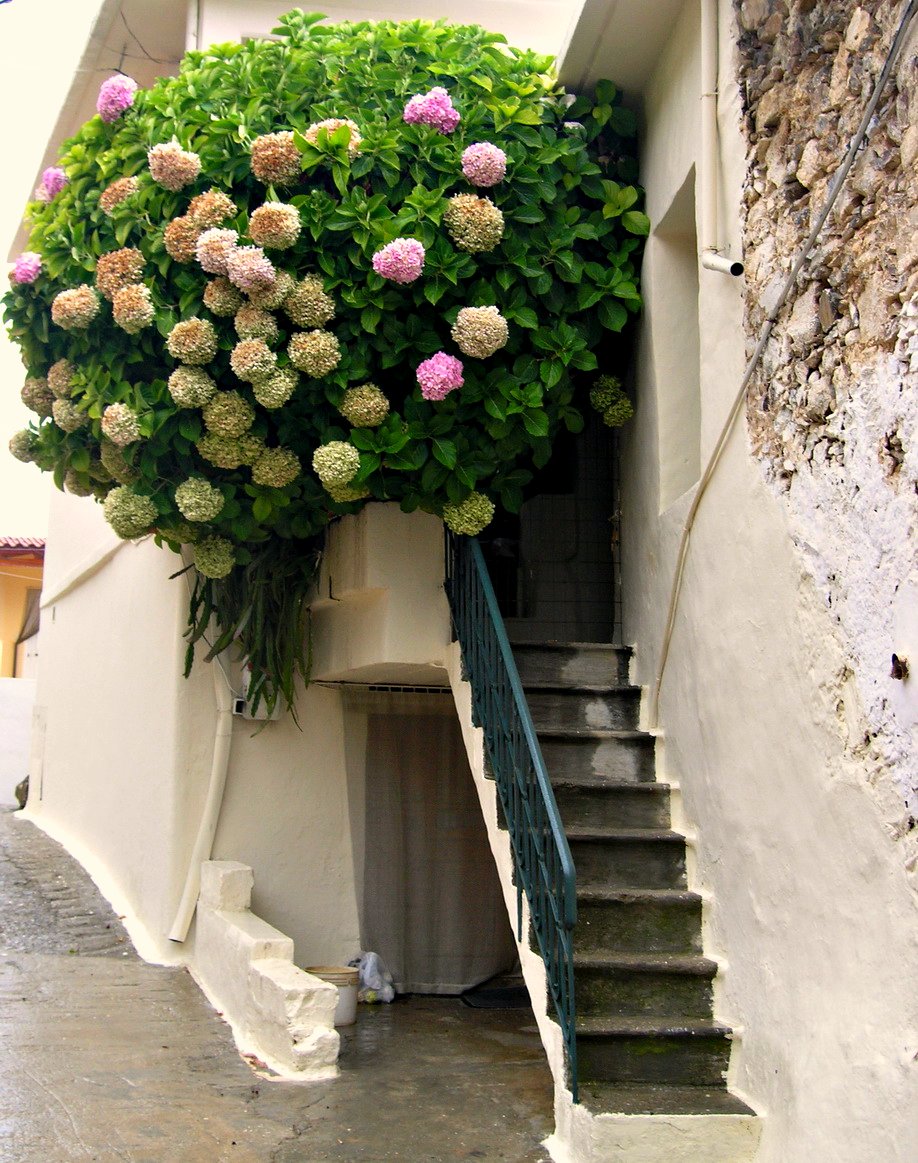 Восхитительные цветы в оформлении балкона