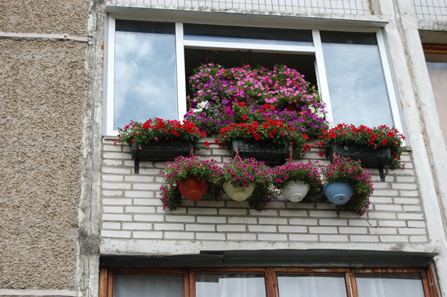 Знаковые цветы в оформлении балкона