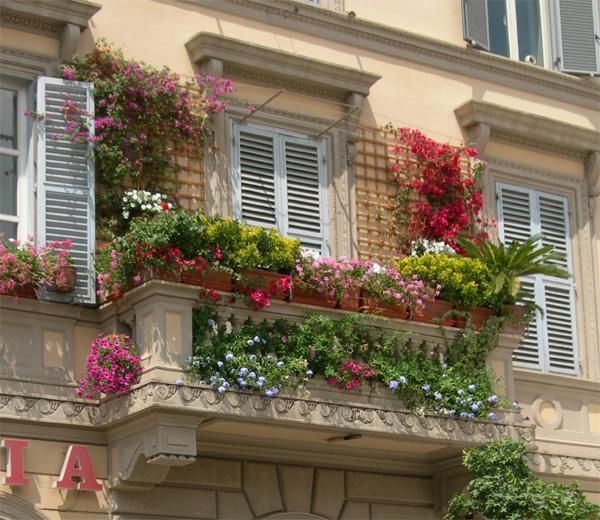 Яркие цветы в оформлении балкона