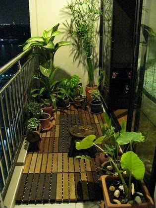 Необычные растения в оформлении балкона