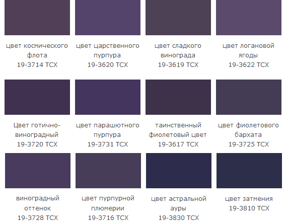 оттенки темно-фиолетового цвета
