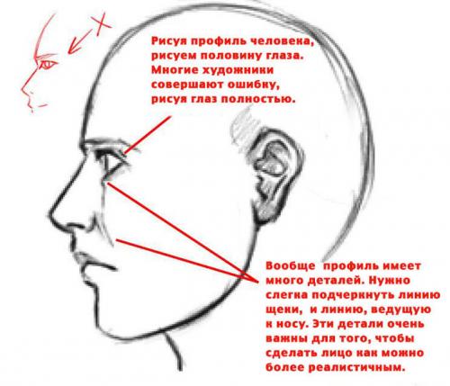 Как нарисовать на стене цветы. Основные виды трафаретов 30