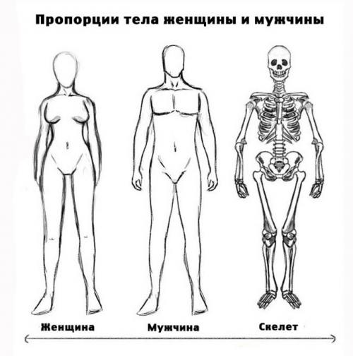 Как нарисовать на стене цветы. Основные виды трафаретов 31