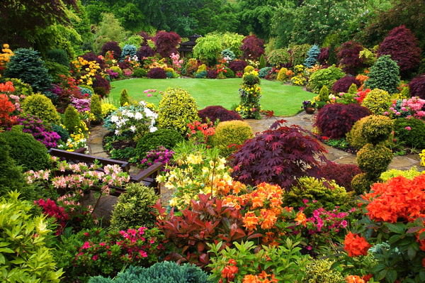 Уголок парка в пейзажном стиле садово-паркового искусства