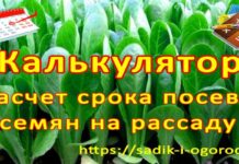 калькулятор посевной